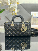 Christian Dior сумка PR409761 10