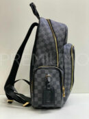 Louis Vuitton рюкзак PR484234 15