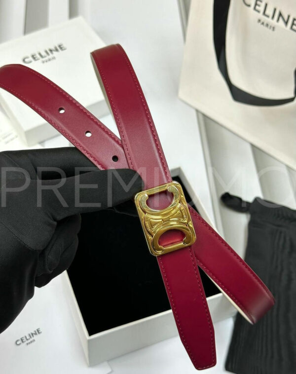 Celine ремень PR872407 4