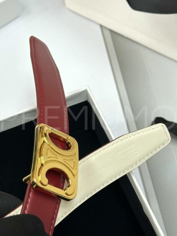 Celine ремень PR872407 6