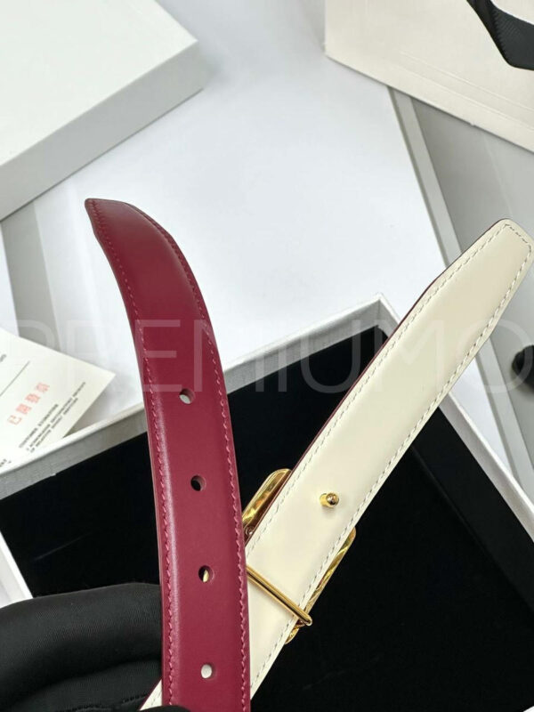 Celine ремень PR872407 9