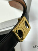 Celine ремень PR895789 11