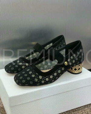 Christian Dior туфли PR200753