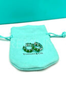 Tiffany & Co. серьги PR753830 4