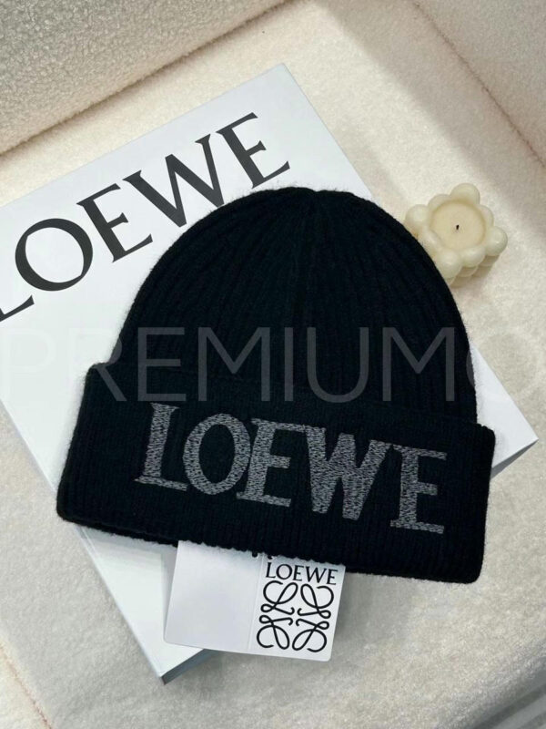 Loewe шапка PR119014 7
