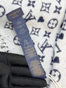 Louis Vuitton шарф PR392238 14
