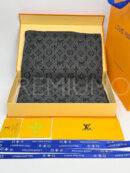 Louis Vuitton шарф PR257907 5