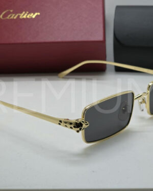 Cartier очки PR119410