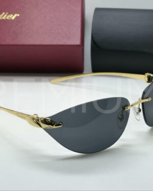 Cartier очки PR609843