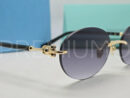Tiffany & Co. очки PR310817 7