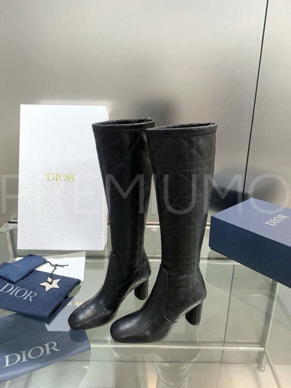 Christian Dior сапоги PR367599