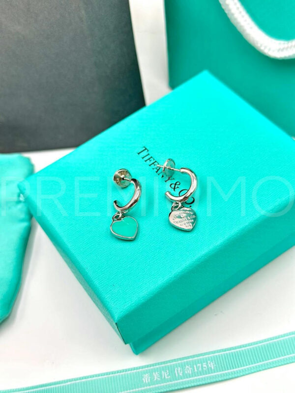 Tiffany & Co. серьги PR300495