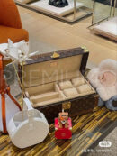 Louis Vuitton шкатулка PR787573 6