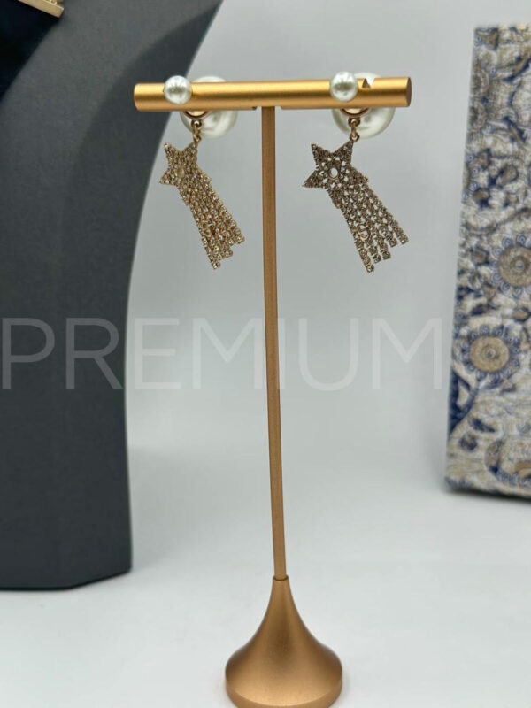 Christian Dior серьги PR519322