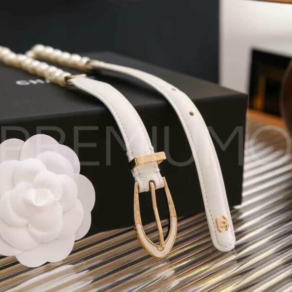 Chanel пояс PR281649 4
