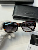 Chanel очки PR653879 10