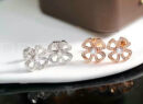 Bvlgari серьги PR508051 6