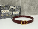 Christian Dior ремень PR282547 10