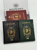 Balenciaga обложка на паспорт PR362229 27