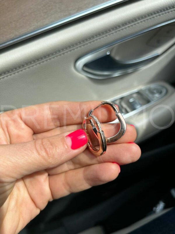 Tiffany & Co. серьги PR297544