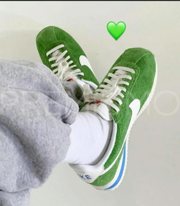 Nike кроссовки PR835809