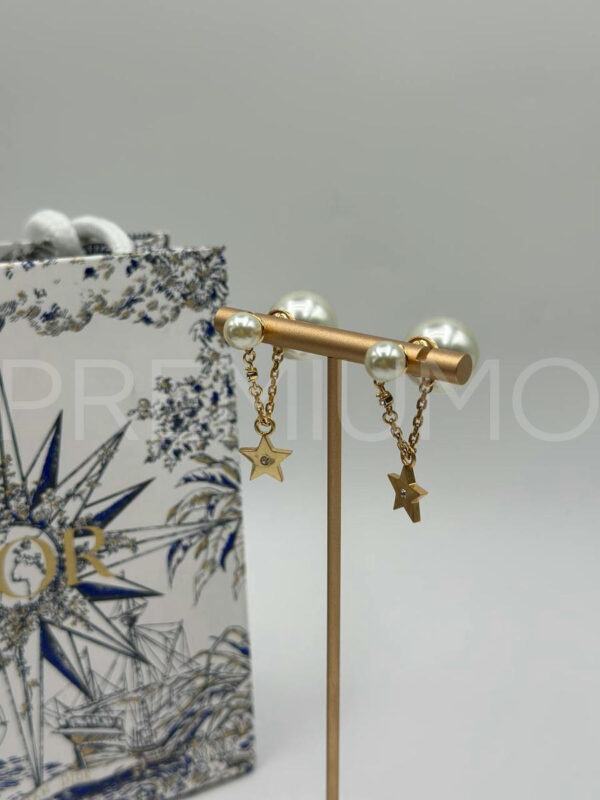 Christian Dior серьги PR727958