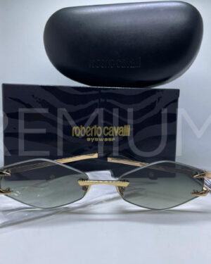 Roberto Cavalli очки PR313110