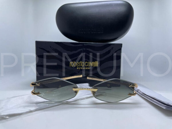 Roberto Cavalli очки PR313110