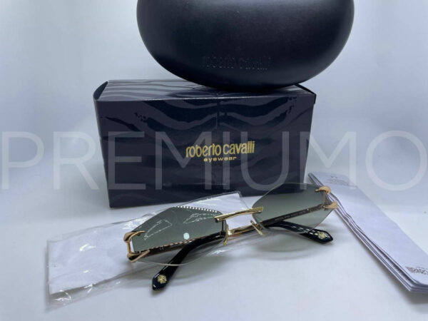 Roberto Cavalli очки PR313110 3