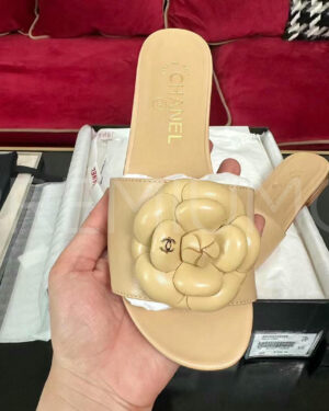 Chanel шлепанцы PR201093