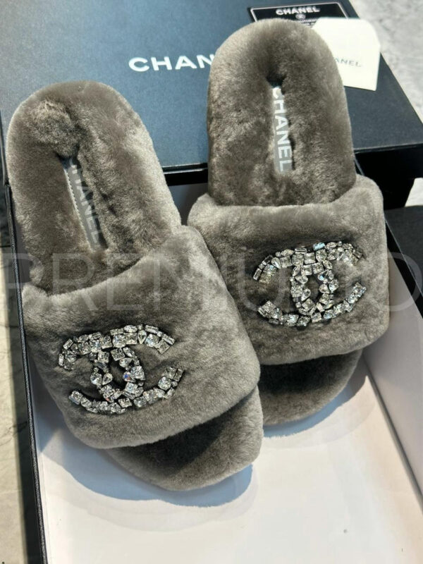 Chanel шлепанцы PR156260 2