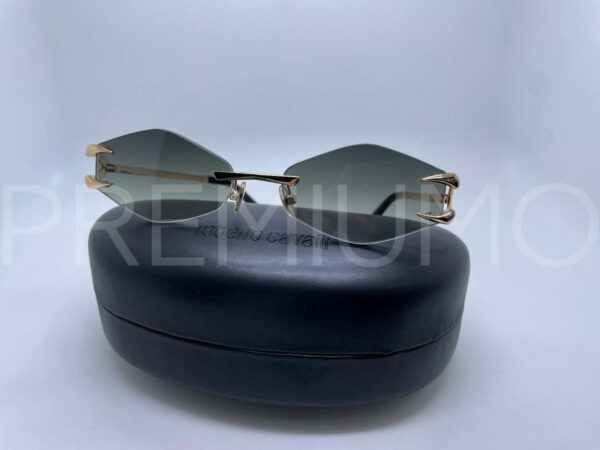 Roberto Cavalli очки PR313110 5