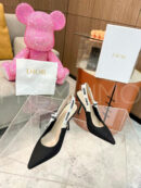 Christian Dior туфли PR727918 45