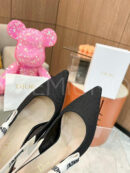 Christian Dior туфли PR727918 47