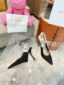 Christian Dior туфли PR727918 48