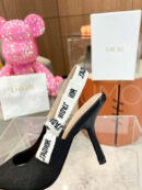 Christian Dior туфли PR727918 49