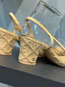 Chanel туфли PR656785 22