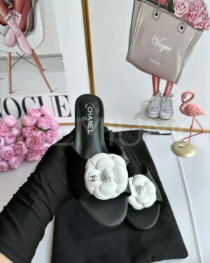 Chanel шлепанцы PR134988