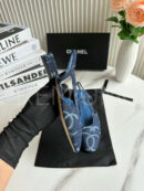 Chanel туфли PR681342 22