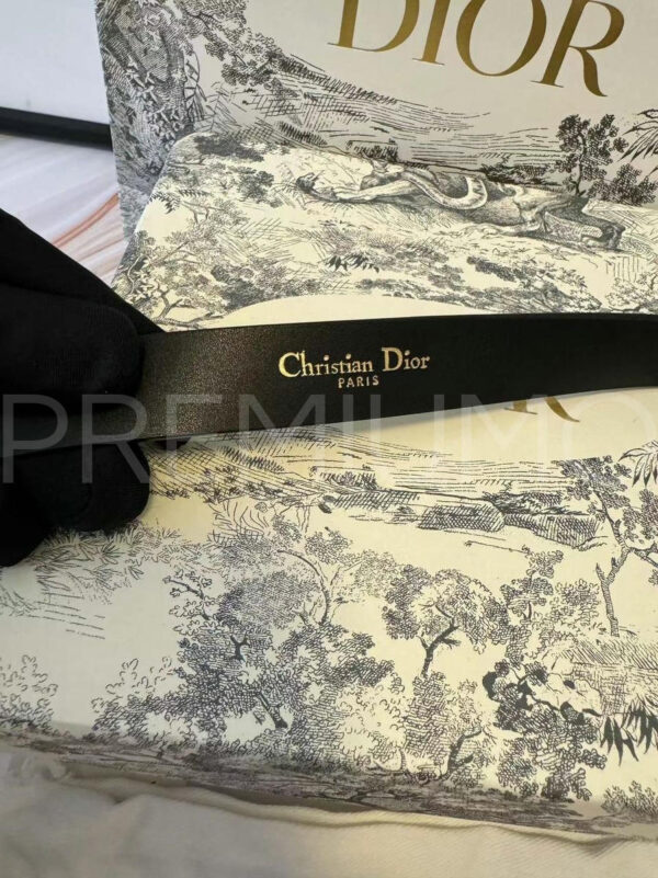 Christian Dior ремень PR239727 10