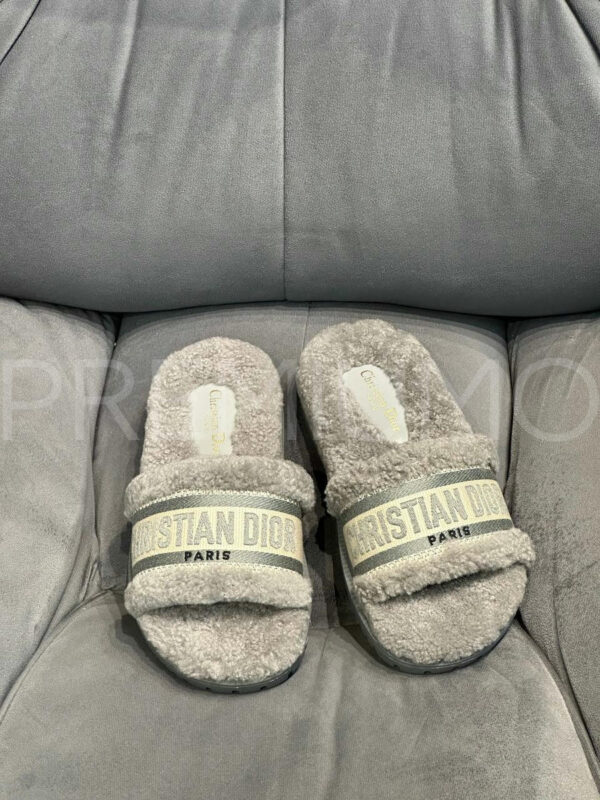 Christian Dior шлепанцы PR149816 2