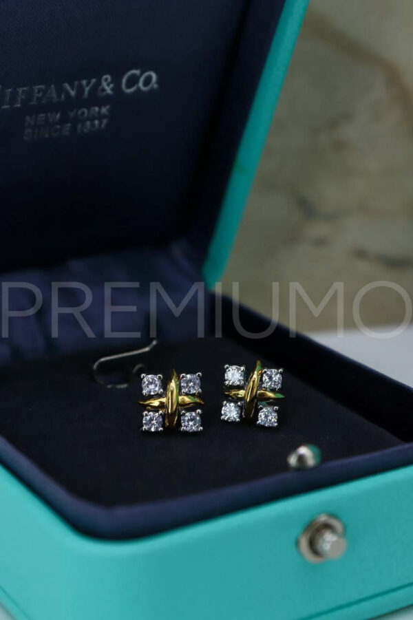 Tiffany & Co. серьги PR715725 2