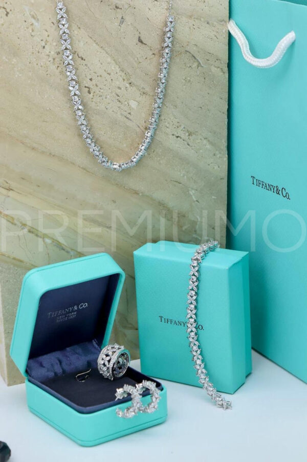 Tiffany & Co. серьги PR897586 5