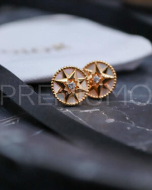Christian Dior серьги PR929976