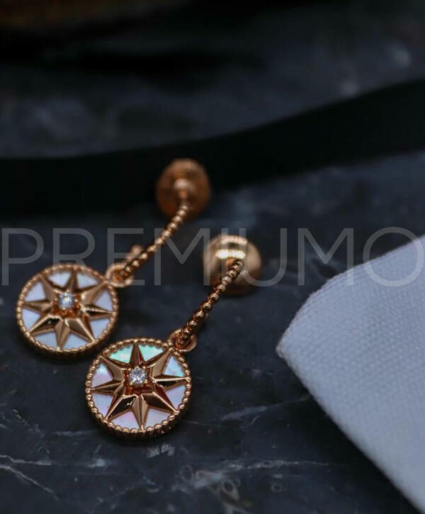 Christian Dior серьги PR593928