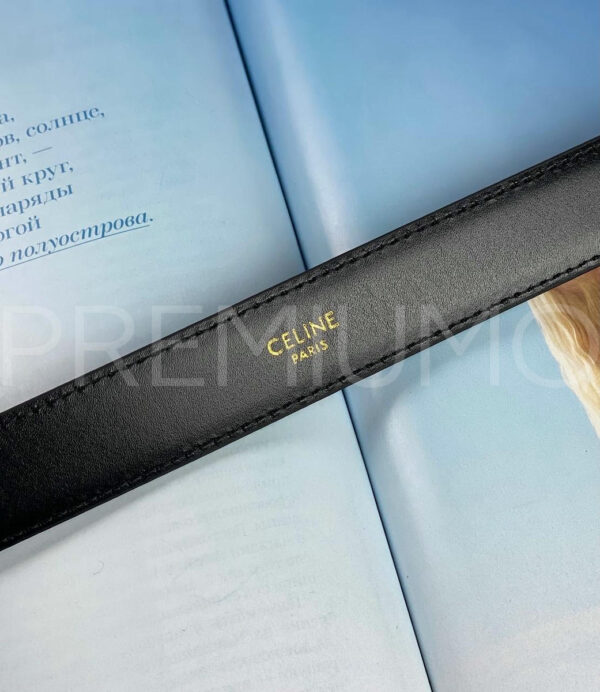 Celine ремень PR103460 6