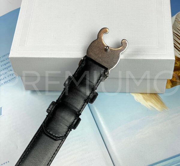 Celine ремень PR163838 4