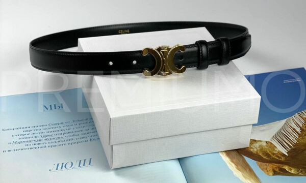 Celine ремень PR432224 8