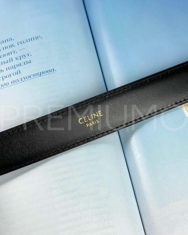 Celine ремень PR432224 11