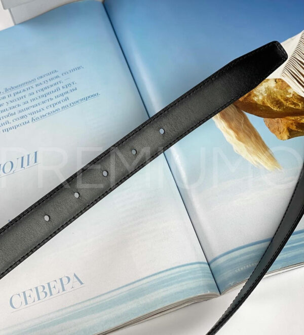 Celine ремень PR432224 13